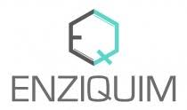 Enz logo